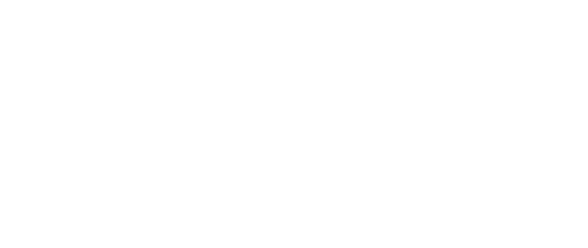 Logo Archivio Garegnani